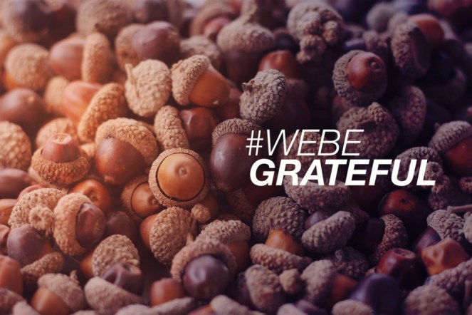 WeBeGrateful