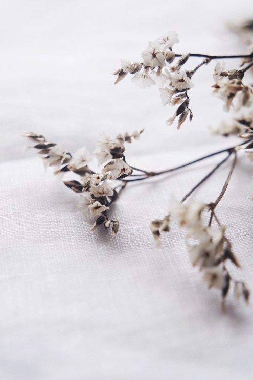 Processed with VSCO with a6 preset