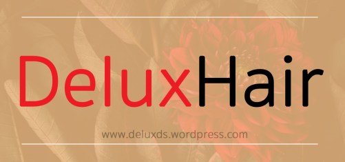 DeluxHair Sign