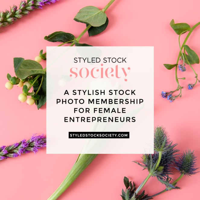 SSS-Affiliate-Banner-5